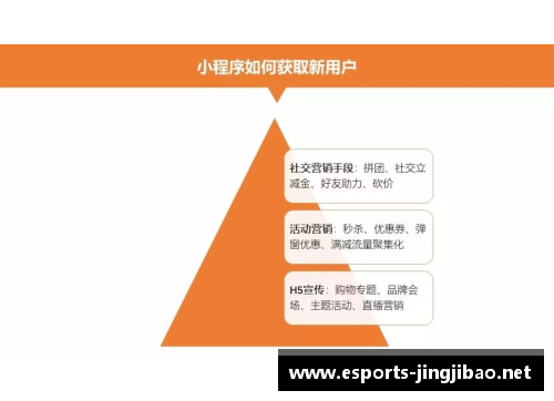 体育明星粉丝运营策略的深度分析与最佳实践探讨